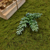 Artificial Succulent (Type 5)